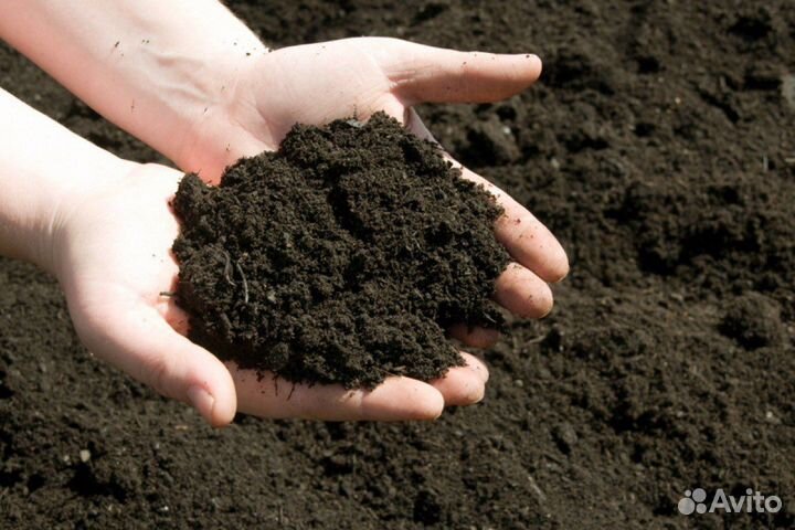 Чернозем, Земля, Доставка 24/7
