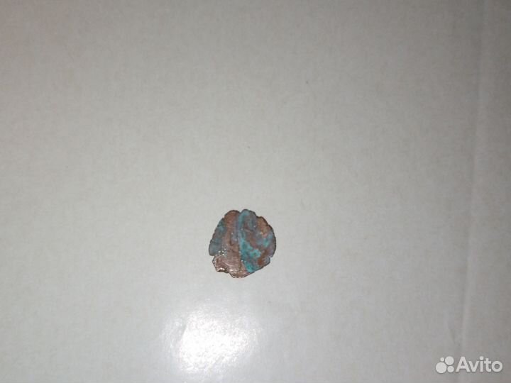 Дерхама татаро-монгольская, год не известно