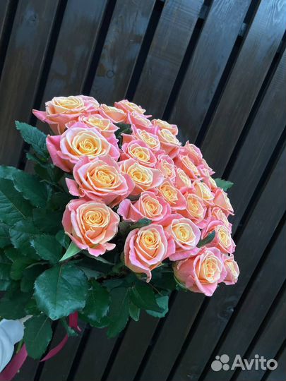 Букет из 25 свежих роз