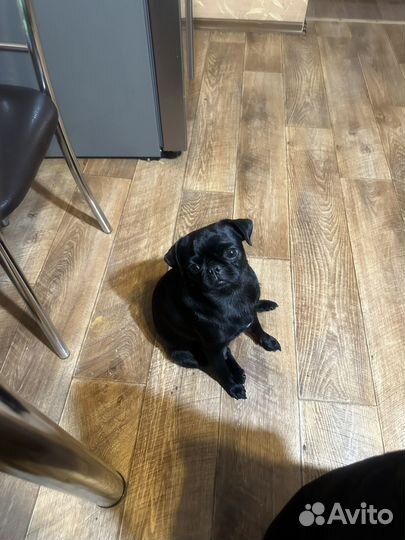 Вязка,девочка