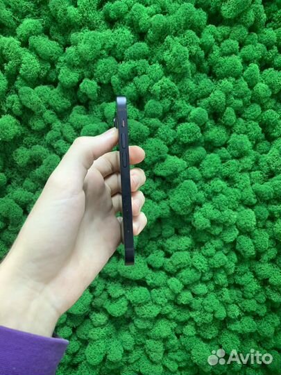 iPhone 12 mini, 256 ГБ