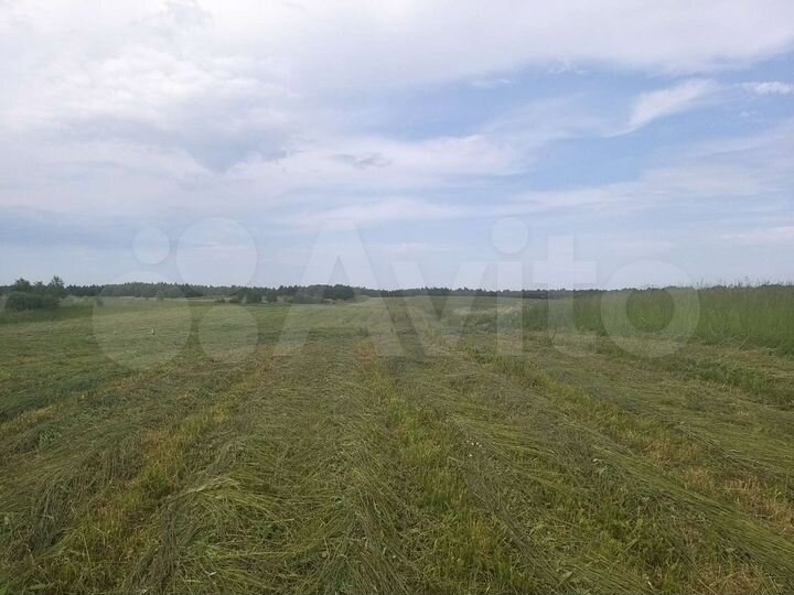 Участок 436 га (СНТ, ДНП)