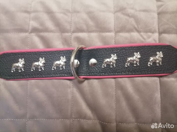 Ошейник для собак