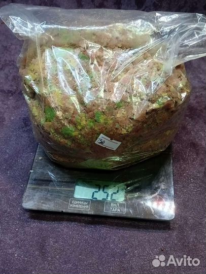 Корм для рыб