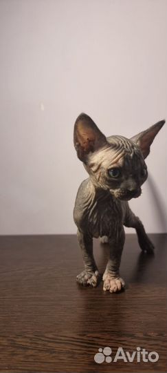 Канадский сфинкс