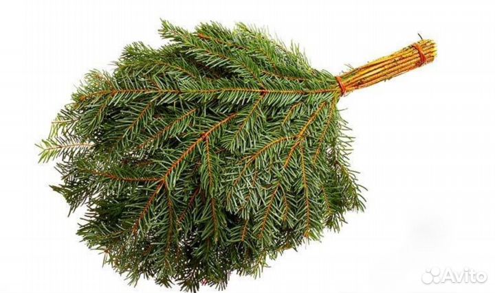 Веники дубовые, березовые, пихтовые и др