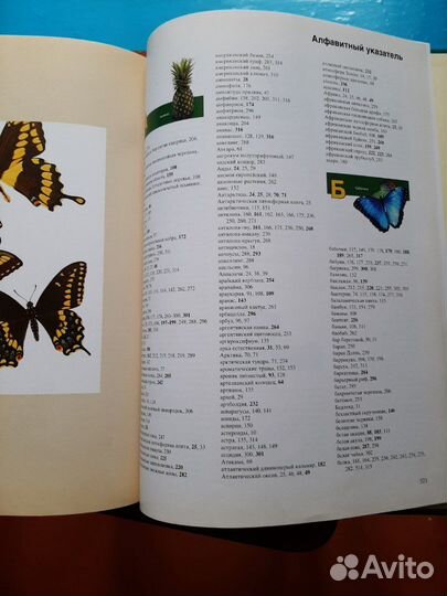 Книга Азбука природы