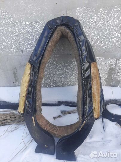 Амуниция для лошади