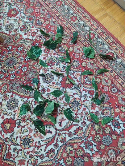 Декоративные ветки,б/у, в хорошем состоянии