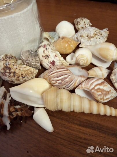 Подарочный набор ракушки свеча ароматическая