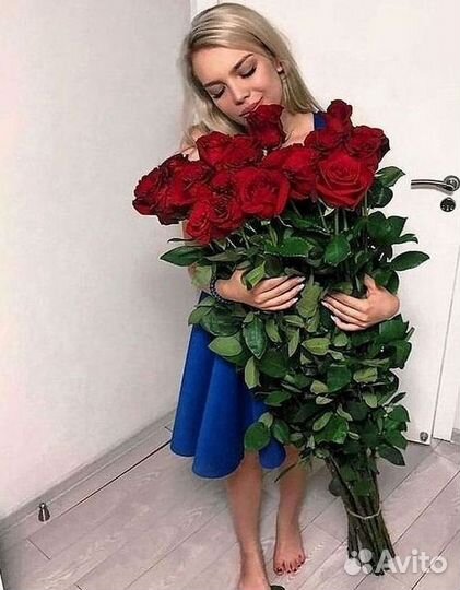 Высокие розы Гигантские розы Доставка цветов