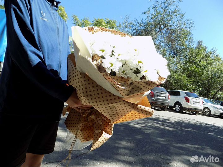 Ромашки. Букеты. Полевые Цветы