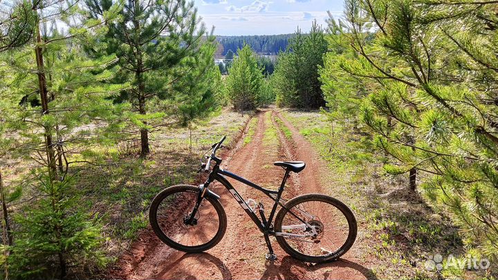 Gt avalanche comp 2021