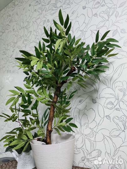 Искусственные растения