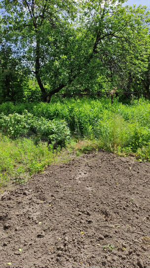 Дача 30 м² на участке 3 сот.