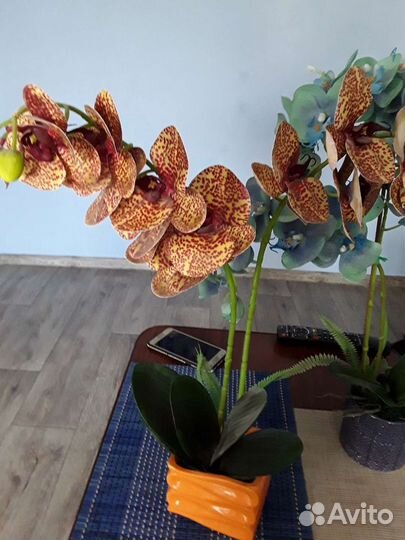 Орхидея (латекс)