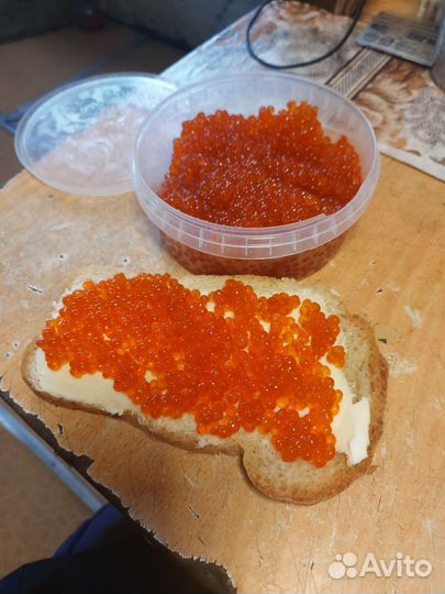 Красная икра 2023