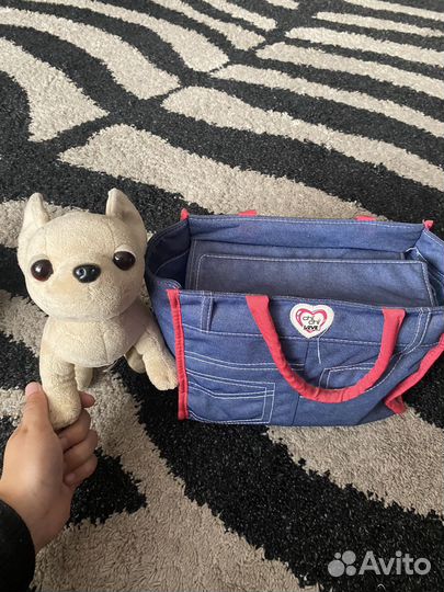 Chi chi love собачка