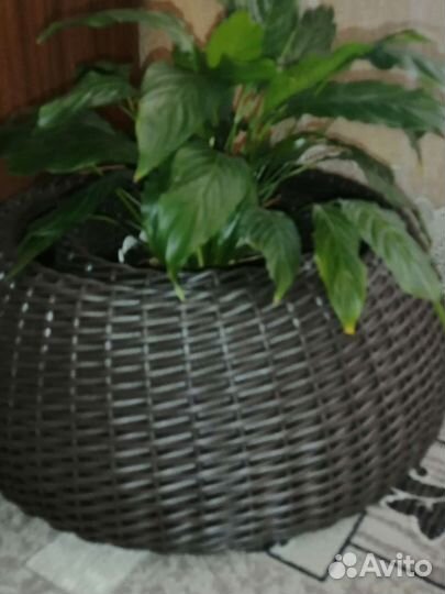 Кашпо переносное/юбка для ёлки