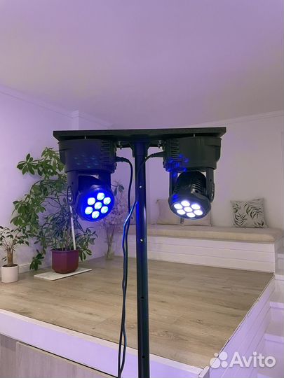 LED wash mini 7x12 Shehds + стойка