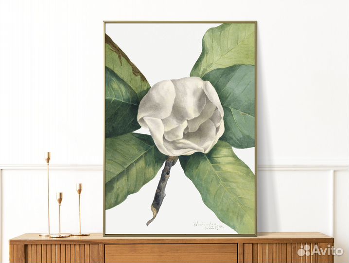 Акварельные постеры