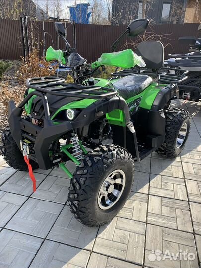 Grizzly 200