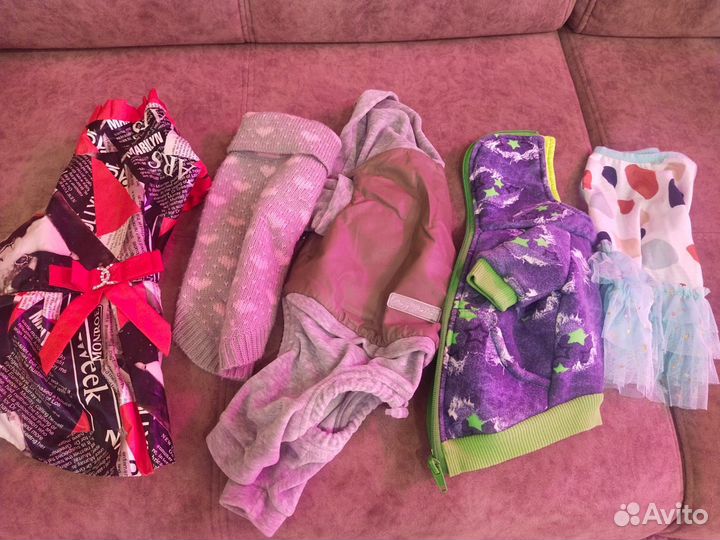 Одежда для средних собачек