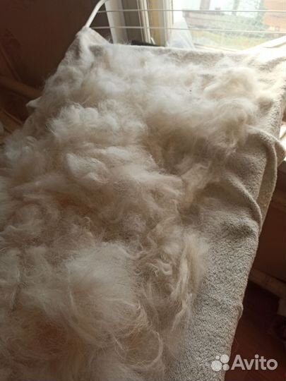 Прядение собачьей шерсти