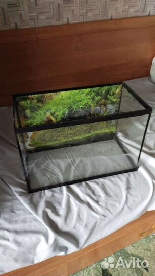 Аквариум
