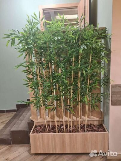 Декоративные деревья