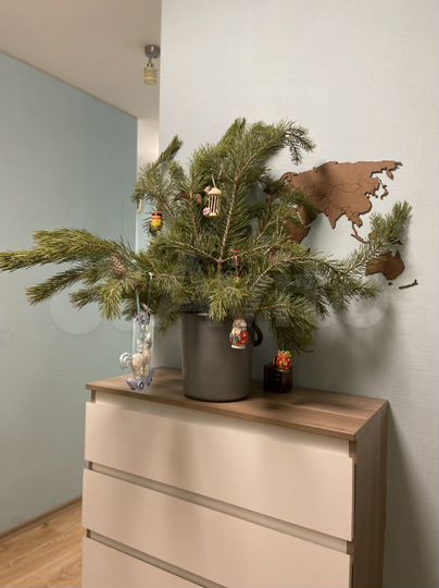 1-к. квартира, 45 м², 1/2 эт.