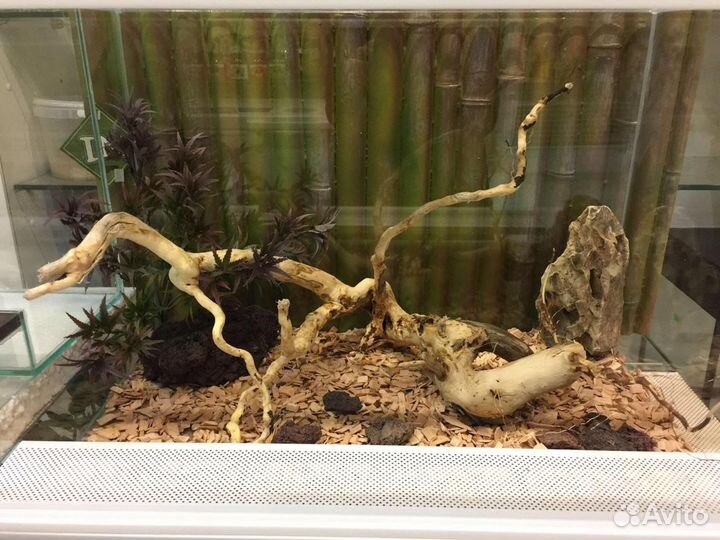 Террариум для рептилий