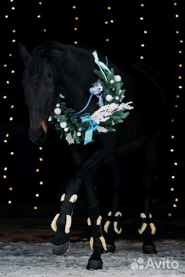 Иппотерапия