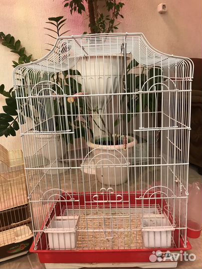 Клетки для птиц разных размеров