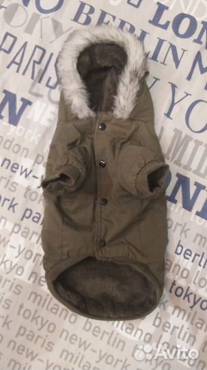 Тёплая куртка для маленькой собачки. Новая