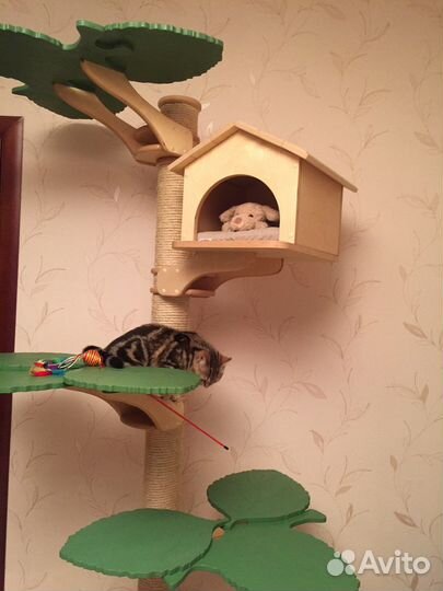 Игровой комплекс для кошек