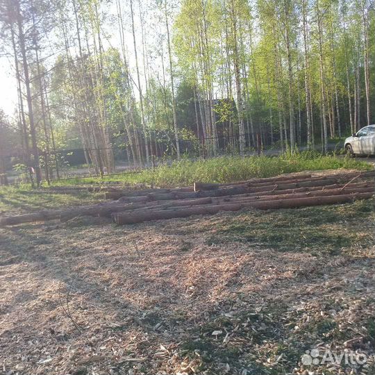 Расчистка участка,участков