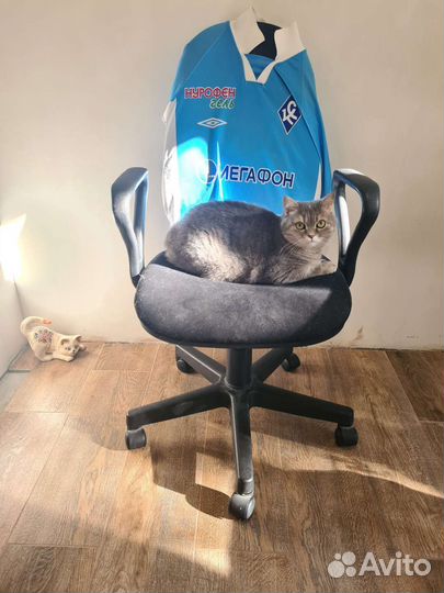 Компьютерное кресло офисное