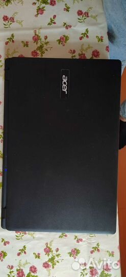 Acer extensa 2519