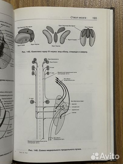 Нейрохирургическая анатомия Пуцилло 2 том