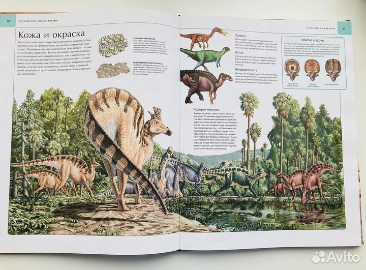 Книги для детей про животных