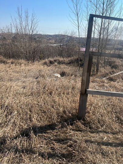 Участок 24 сот. (СНТ, ДНП)