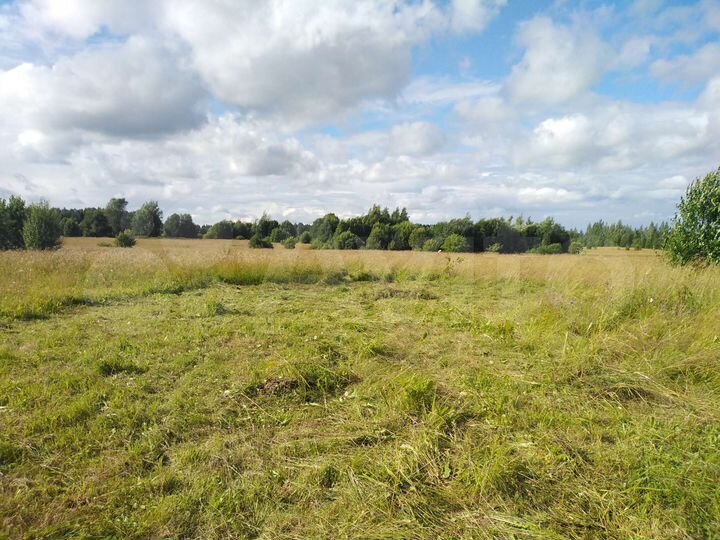 Участок 8,2 га (ИЖС)