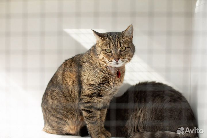 У Лоры осталось меньше недели