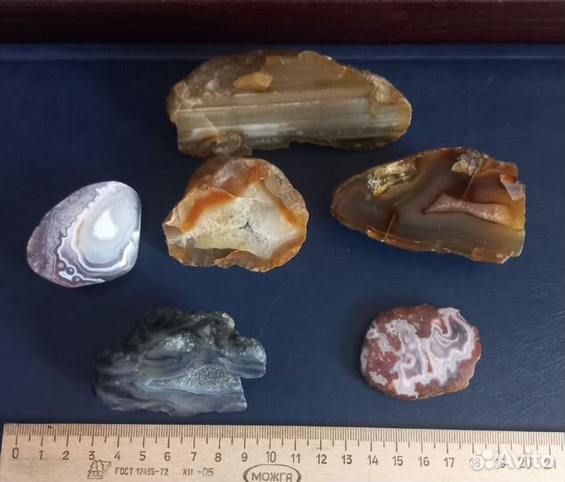 Камни и минералы.окаменелости
