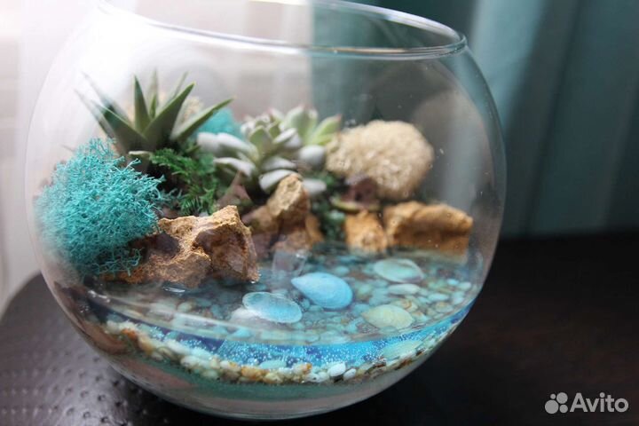 Флорариум, подарки, комнатные цветы