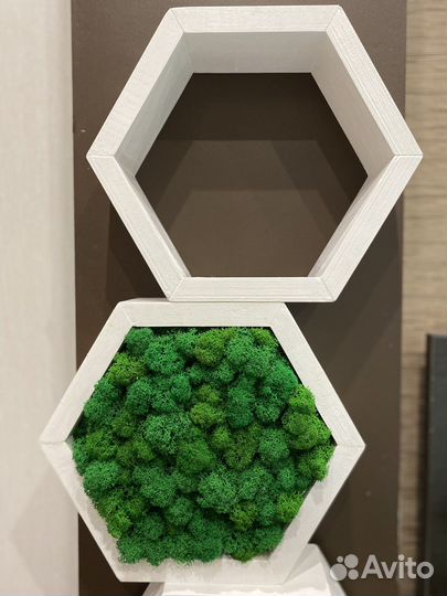 Полка Сота пустая, 25*21*7см