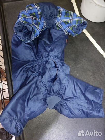 Комбинезон для кобеля