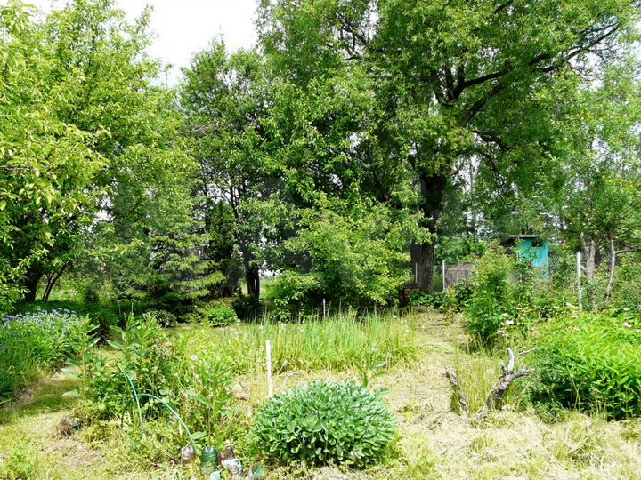 Участок 19 сот. (СНТ, ДНП)