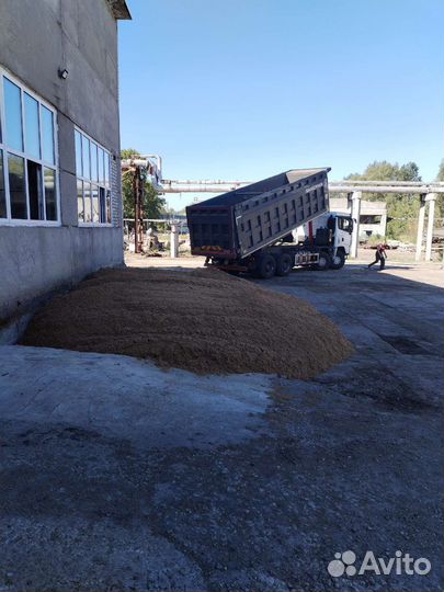 Пивная дробина ферментированная(консервированная)